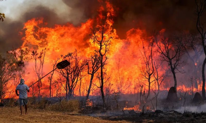 Monitoramento busca identificar os focos de incêndio em vegetação já na fase inicial (foto: AgÊncia Brasil)