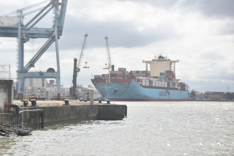 Navio Maersk Lota, com contêineres para carregamentos da Seara, atracou na sexta (foto: João Batista)