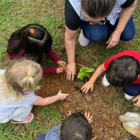 Feira de mudas nativas ensina a criançada a plantar e cultivar natureza