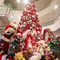 Natal do Itajaí Shopping tem  shows diários com pinguins