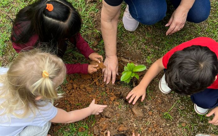 Também teve plantio de árvores na escola (Foto: Divulgação)