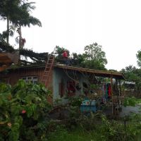 Ventania derruba galho de árvore em casa