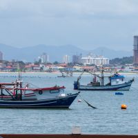 Penha é a segunda maior produtora de mariscos do Brasil