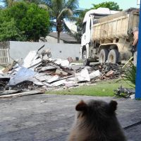 Asilo incendiado precisa de ajuda para ser reconstruído