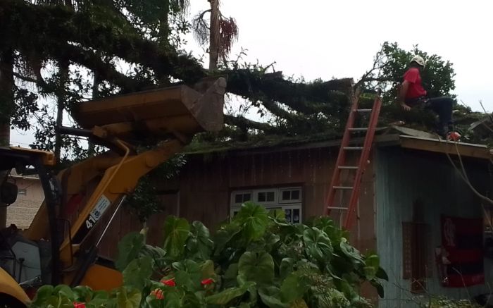 Prefeitura ajudou os bombeiros a retirar o pedaço da árvore de cima do telhado (Foto: CBMSC)