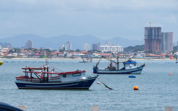 Estado foi responsável por 97,28% de toda a produção (Foto: Paulo Giovany) 