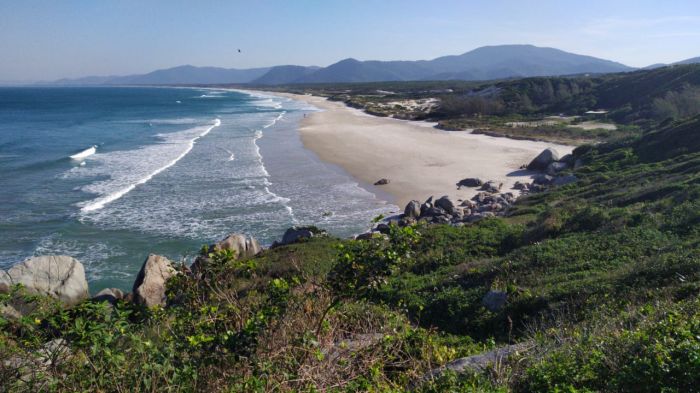 Informações foram divulgadas pelo Ima na quinta-feira (Foto: Divulgação)