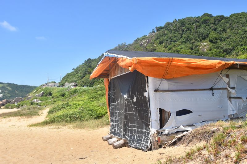 Empresa que comprou a área afirma que o projeto é de um parque turístico-ambiental (foto: Arquivo/João Batista)