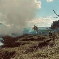 Queima de entulho causa incêndio em vegetação