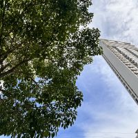 Pode chover até gelo em tarde de calorão brabo  