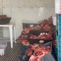 Mercado do São Vicente fazia charque com carne estragada  