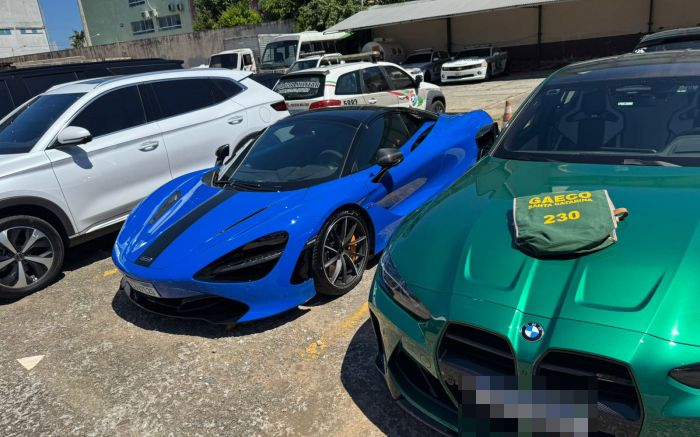 McLaren, Cadillac, BMWs, BYD e um HR-V foram apreendidos (Foto: Divulgação MPSC)