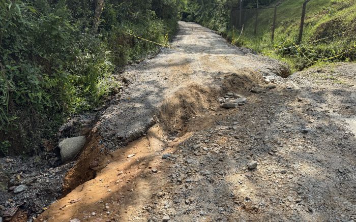 Acesso deve ser liberado a partir do dia 15 de fevereiro (Foto: Divulgação/PMI)