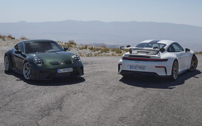 O 911 GT3 acelera de 0 a 100 km/h em 3,4 segundos e atinge até 313 km/h (Foto: Divulgação)