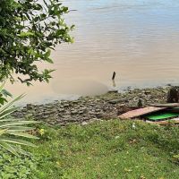 Polícia Civil investiga assassinato de menina em Itajaí