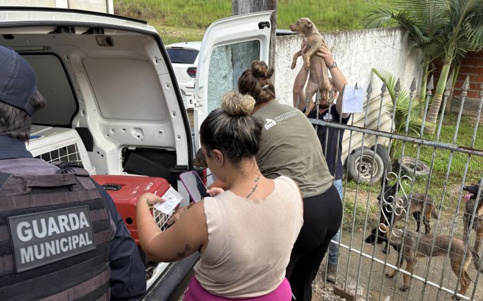 Vinte e nove animais foram levados para o canil municipal. Pros demais faltou espaço (Foto: Divulgação PMI)