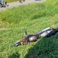 Motoqueiro morre decapitado por linha de cerol na BR 470