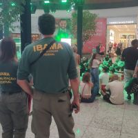 Diversão ou exploração? Especialistas analisam caso de animais expostos em shopping