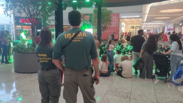 Animais estavam em exposição ilegal no Continente Shopping (Foto: Divulgação/Ibama)