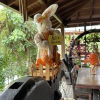 Fazenda dos Caetés tem programação especial de Páscoa em Camboriú
