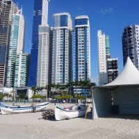 Safra da tainha começa neste feriado para artesanais