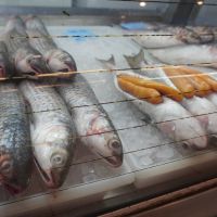 miniatura galeria