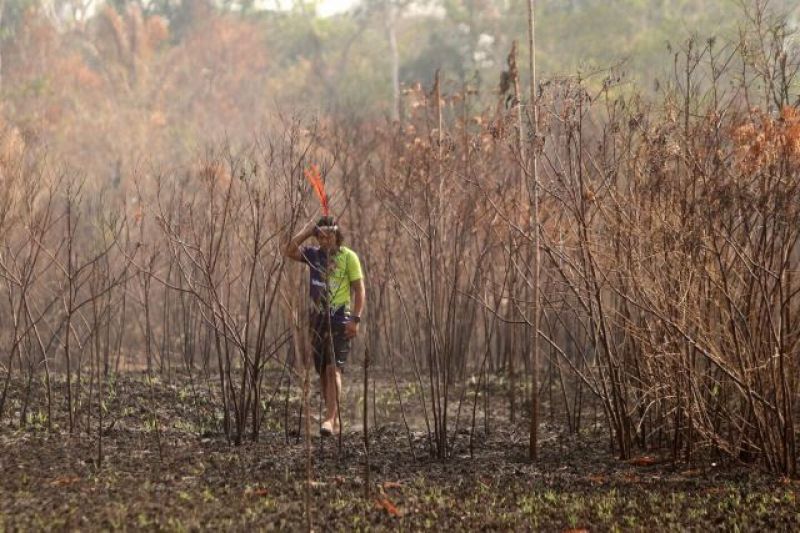 Desde a segunda quinzena de setembro, a brigada voluntária foi deslocada para outras regiões do Pará