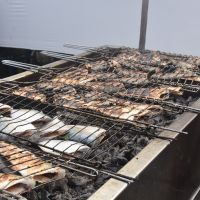 Festa do Peixe está de volta a Itajaí