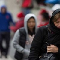 Navegantes distribui cobertores para moradores de rua e reforça resgate de animais