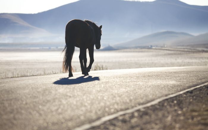 Acidente foi no meio da estrada do Itinga (foto: divulgação - envato)