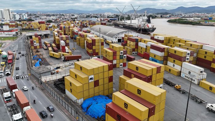 Embarques de carnes de frango e suínos alavancaram resultado (Foto: Arquivo/Felipe Trojan)