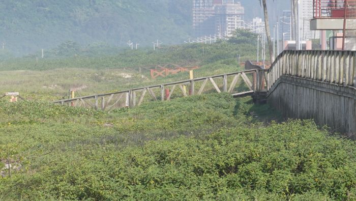 Vegetação alta teria virado abrigo de andarilhos e aumentado insegurança
(Foto: João Batista)