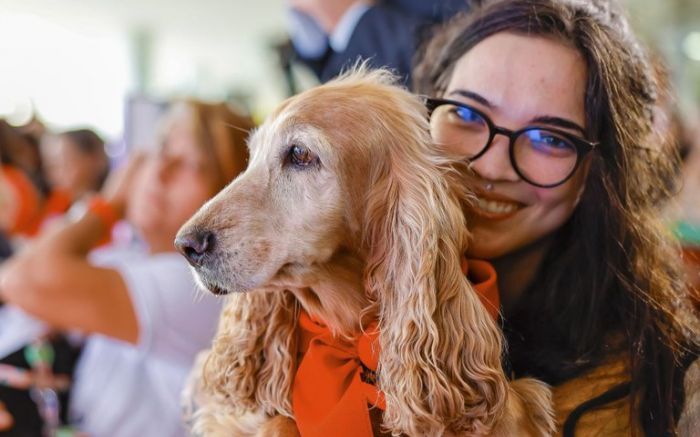 O cadastro é voluntário, mas obrigatório para quem recebe verba pública para castração ou microchipagem (Foto: Ricardo Stuckert)