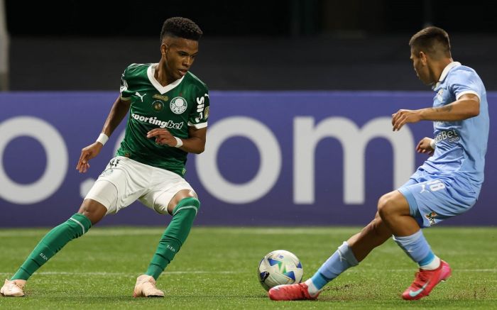 Palmeiras estreia neste domingo contra o Porto, às 19h (Foto: Divulgação/Palmeiras)