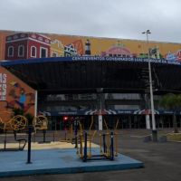 Festa das Tradições terá shows com ritmos do norte e nordeste em Itajaí