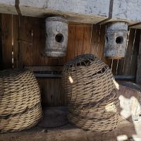 Engenho de farinha mantém viva tradição centenária em Balneário Camboriú