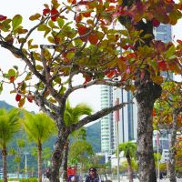 BC avança na transformação da orla