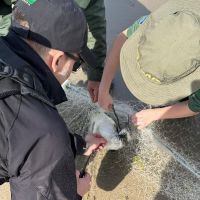 PF apreende redes ilegais de pesca em Itajaí e Itapoá