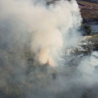 Incêndio destrói mais de dois mil m² de vegetação em Porto Belo