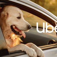 Uber dá carona gratuita para pets adotados
