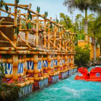 Beto Carrero World é eleito o 2º melhor parque do mundo no TripAdvisor