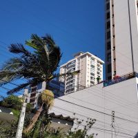 miniatura galeria