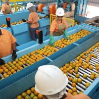 Tarifaço de Trump deixa de fora aviões, minérios e suco de laranja