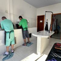 Programa em que presidiários tratam dogs vira modelo de Itajaí para o Brasil