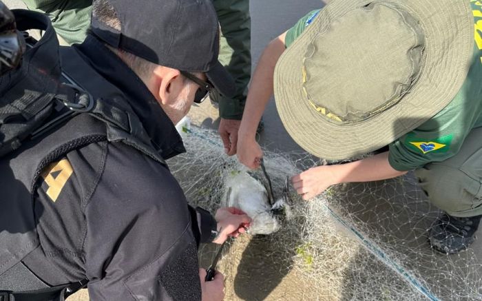 Rede de pesca foi apreendida perto do Canto do Morcego (Foto: Leitor)
