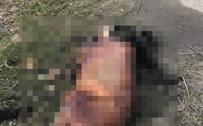 Polícia pede que denúncias sobre o caso sejam feitas pelo disque-denúncia (Foto: Leitor)