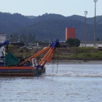 Draga do porto estaria operando até Cordeiros