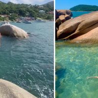"Traficantes influencers" presos com 200 kg de drogas se livram da prisão