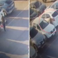 Passageiro abandona cachorro no aeroporto de Floripa e é preso em Brasília