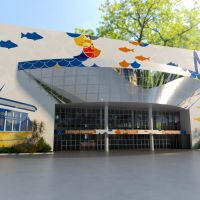 miniatura galeria